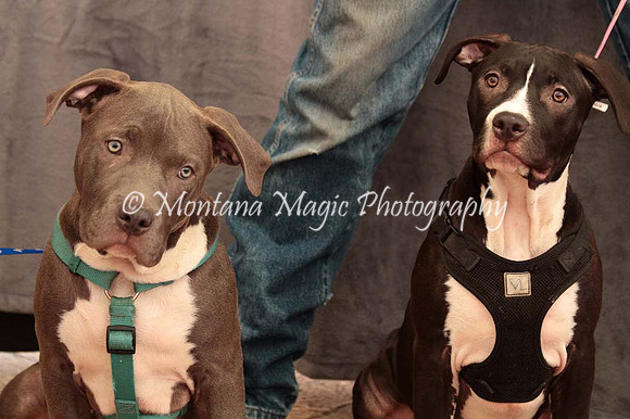 Ezekial & Diamond_0354