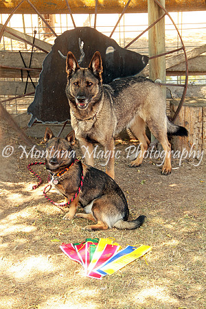 Bat! & Cat! Awards_4144