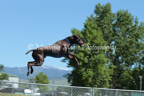 Huck_4347