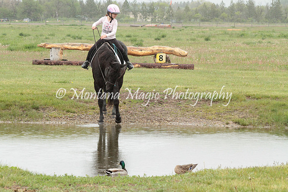 Air Horse One_2958