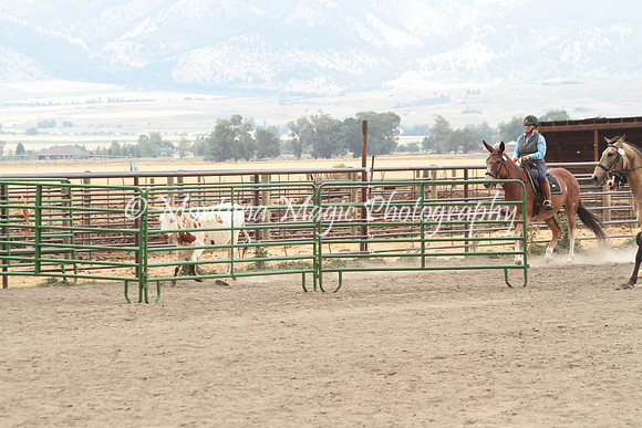 Knightstown Casey_6562