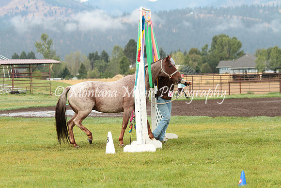 Coniger_0764