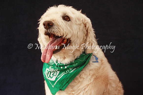 Baxter_9602