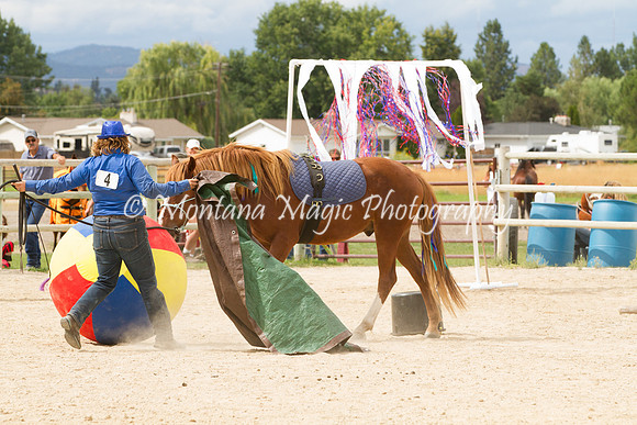 Entry #4_6579