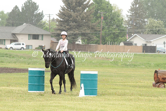 Air Horse One_2949