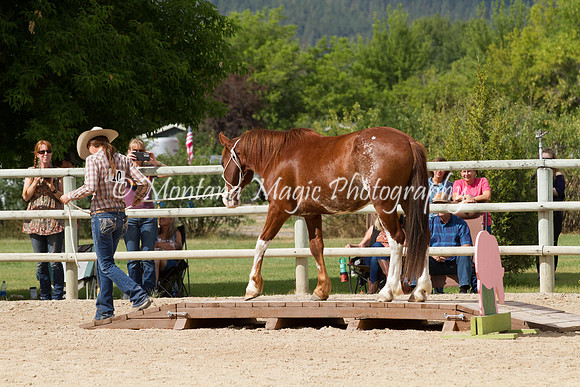 Entry #10_6183