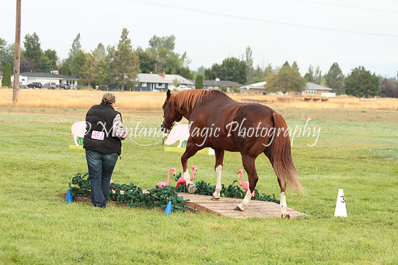 Big D_0663