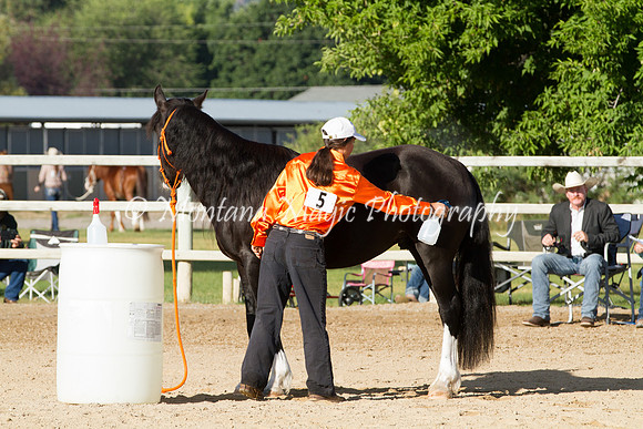 Entry #5_5677
