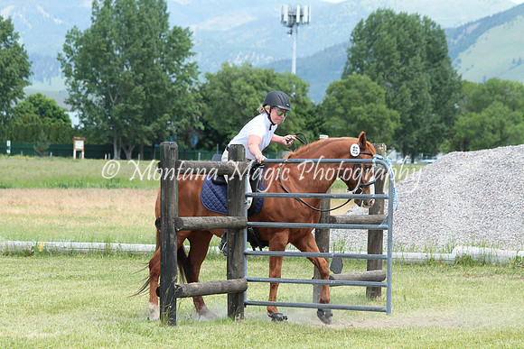 Dyna's Montana Lynx_6590