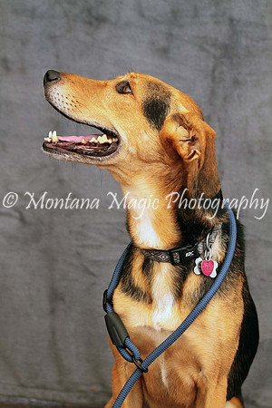 Petey_0531