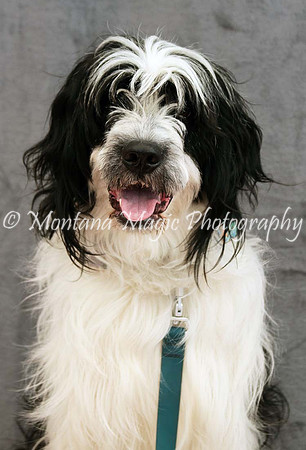 Tucker_0436