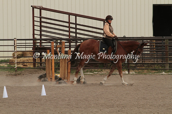 Knightstown Casey_5164