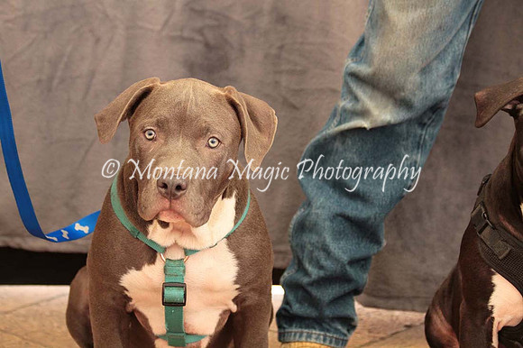 Ezekial & Diamond_0369