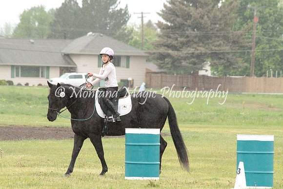 Air Horse One_2951