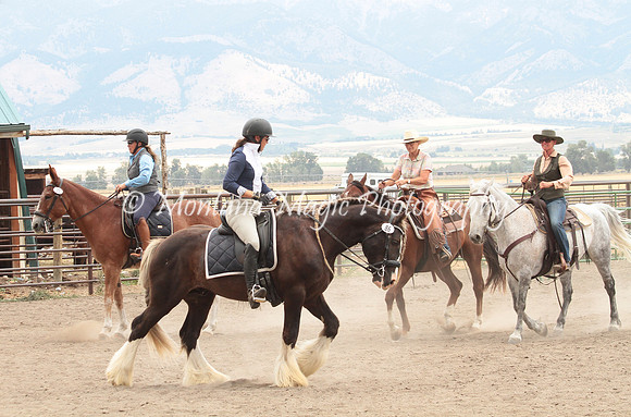RDR Shirefox Revel_6556