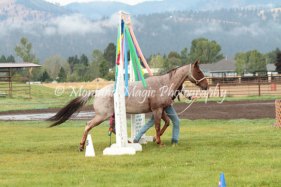Coniger_0766