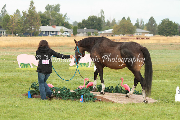 Roxie_0721