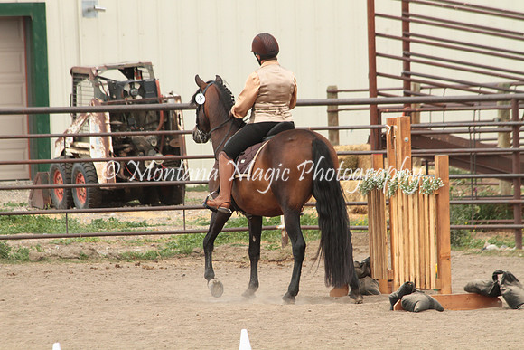 CDC Baby Boy Oro_4813