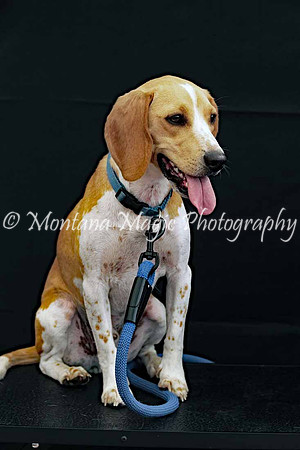 Bailey_0426