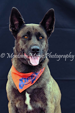 Kaia_0207