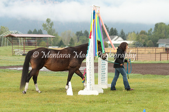 Roxie_0726