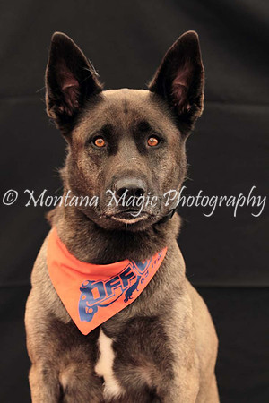 Kaia_0203