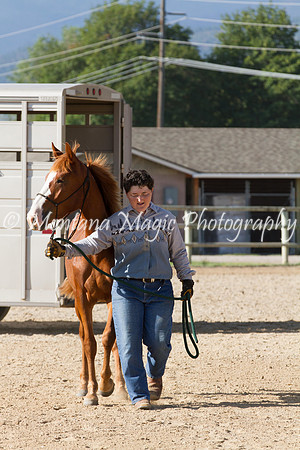 Entry #12_5869