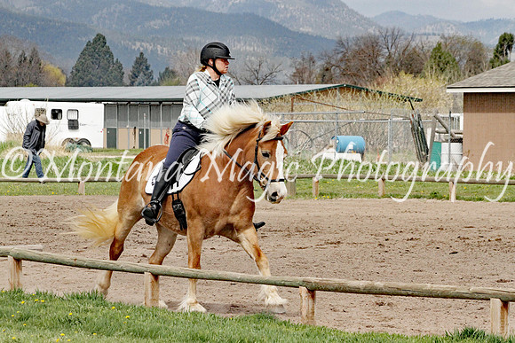 Ane_4570