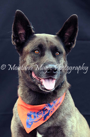 Kaia_0201
