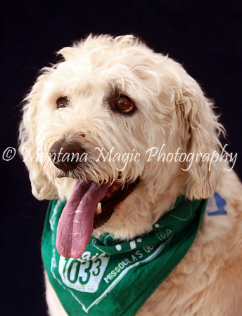 Baxter_9580