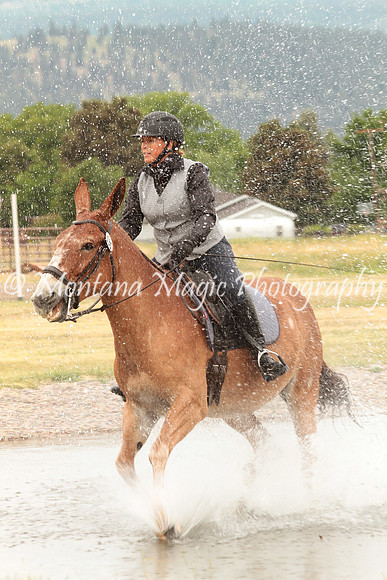 Knightstown Casey_1613
