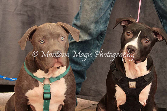 Ezekial & Diamond_0355