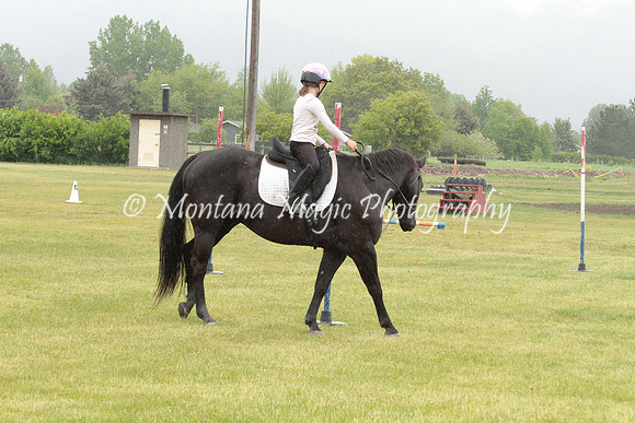 Air Horse One_2944