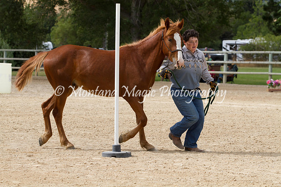 Entry #12_6323