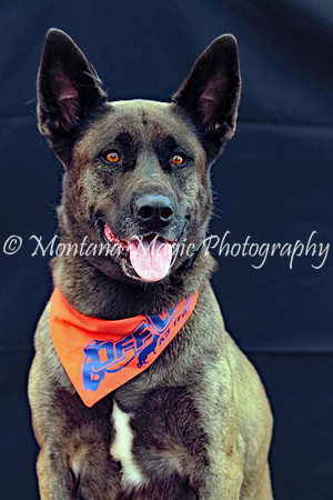 Kaia_0208