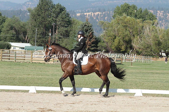 Fairsing Moondance_7775