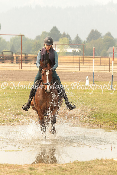 Fairsing Moondance_9714