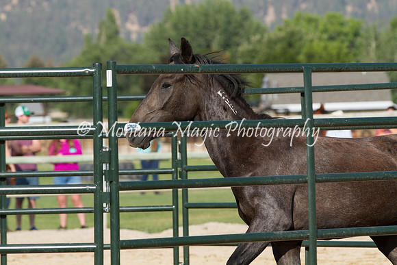 Entry #8_5963