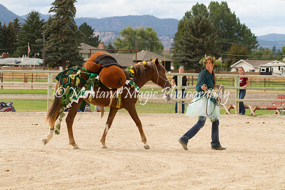 Entry #11_6739
