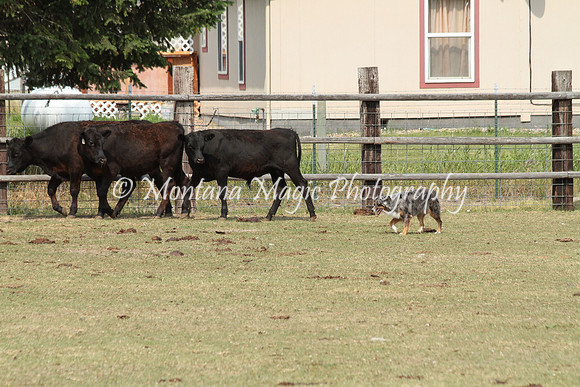 Nox_9749