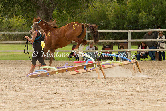 Entry #13_6649