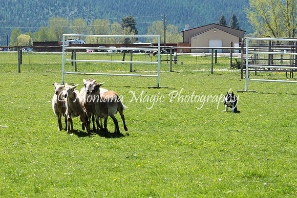 Minnie Pearl_8047