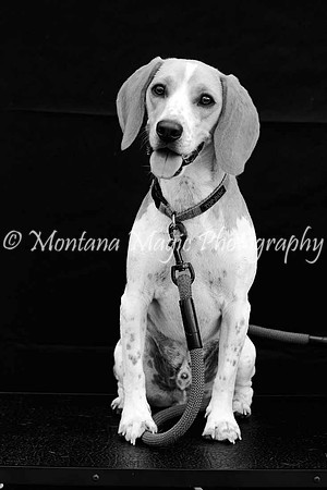 Bailey_0412