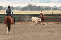 Justa Crooked Cowboy_6585
