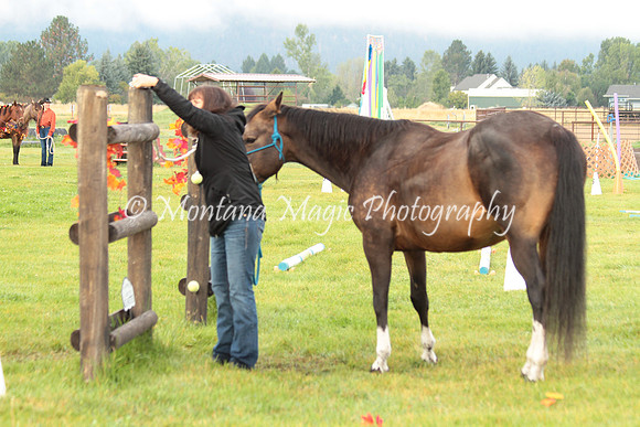 Roxie_0719