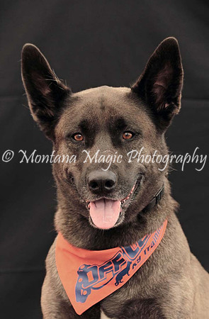 Kaia_0202