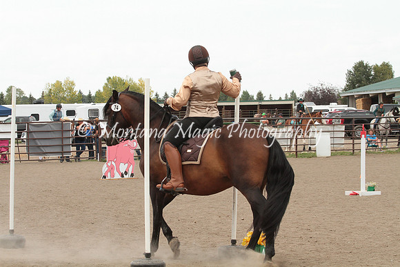 CDC Baby Boy Oro_4802