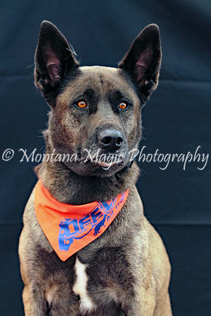 Kaia_0205