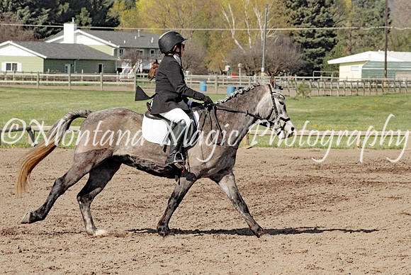 Ginny_4270