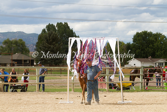 Entry #2_6652